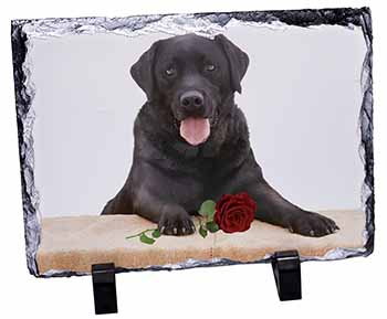 Black Labrador with Red Rose, Stunning Photo Slate