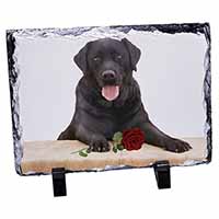 Black Labrador with Red Rose, Stunning Photo Slate