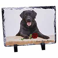 Black Lab with Rose 