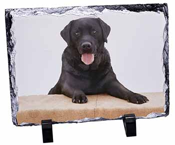 Black Labrador Dog, Stunning Photo Slate