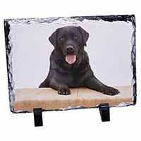 Black Labrador Dog, Stunning Photo Slate