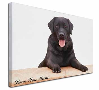 Black Labrador 