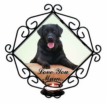 Black Labrador 