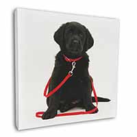 Black Goldador Dog Square Canvas 12"x12" Wall Art Picture Print