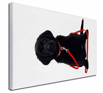 Black Goldador Dog Canvas X-Large 30"x20" Wall Art Print