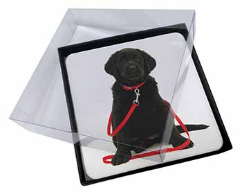 4x Black Goldador Dog Picture Table Coasters Set in Gift Box