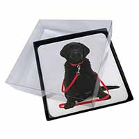 4x Black Goldador Dog Picture Table Coasters Set in Gift Box