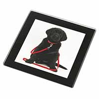 Black Goldador Dog Black Rim High Quality Glass Coaster