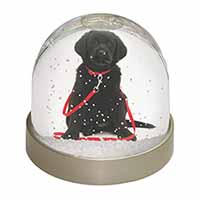 Black Goldador Dog Snow Globe Photo Waterball