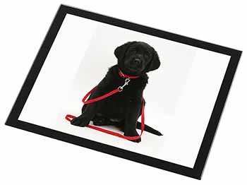 Black Goldador Dog Black Rim High Quality Glass Placemat