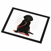 Black Goldador Dog Black Rim High Quality Glass Placemat