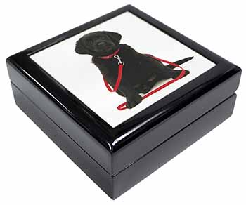 Black Goldador Dog Keepsake/Jewellery Box