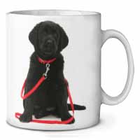 Black Goldador Dog Ceramic 10oz Coffee Mug/Tea Cup