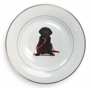 Black Goldador Dog Gold Rim Plate Printed Full Colour in Gift Box