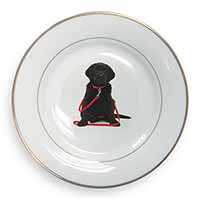 Black Goldador Dog Gold Rim Plate Printed Full Colour in Gift Box