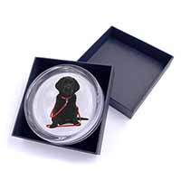 Black Goldador Dog Glass Paperweight in Gift Box
