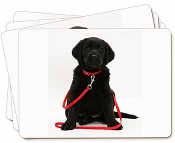 Black Goldador Dog Picture Placemats in Gift Box