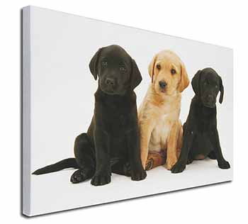 Labrador Puppies Canvas X-Large 30"x20" Wall Art Print