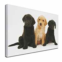 Labrador Puppies Canvas X-Large 30"x20" Wall Art Print