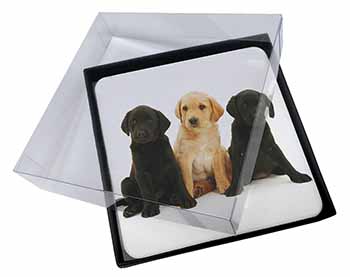 4x Labrador Puppies Picture Table Coasters Set in Gift Box