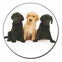 Labrador Puppies Fridge Magnet Printed Full Colour