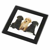 Labrador Puppies Black Rim High Quality Glass Coaster