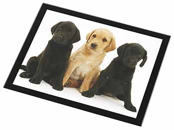 Labrador Puppies Black Rim High Quality Glass Placemat