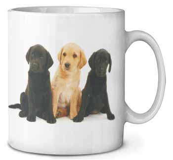Labrador Puppies Ceramic 10oz Coffee Mug/Tea Cup