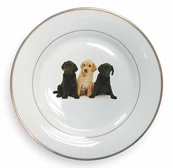 Labrador Puppies Gold Rim Plate Printed Full Colour in Gift Box