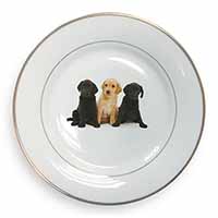 Labrador Puppies Gold Rim Plate Printed Full Colour in Gift Box