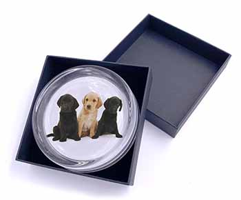 Labrador Puppies Glass Paperweight in Gift Box