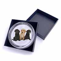 Labrador Puppies Glass Paperweight in Gift Box