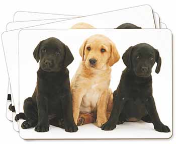 Labrador Puppies Picture Placemats in Gift Box