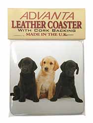 Labrador Puppies Single Leather Photo Coaster