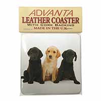 Labrador Puppies Single Leather Photo Coaster