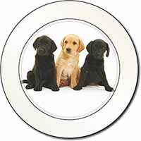 Labrador Puppies Car or Van Permit Holder/Tax Disc Holder