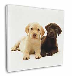 Labrador Puppy Dogs Square Canvas 12"x12" Wall Art Picture Print