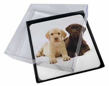 4x Labrador Puppy Dogs Picture Table Coasters Set in Gift Box