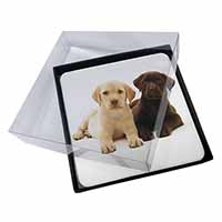 4x Labrador Puppy Dogs Picture Table Coasters Set in Gift Box