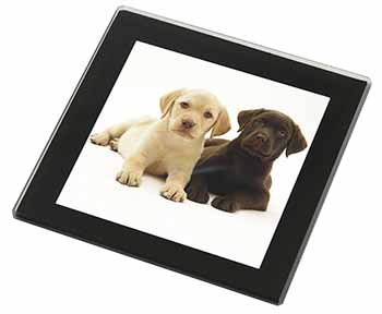 Labrador Puppy Dogs Black Rim High Quality Glass Coaster
