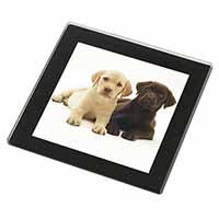 Labrador Puppy Dogs Black Rim High Quality Glass Coaster