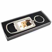 Labrador Puppy Dogs Chrome Metal Bottle Opener Keyring in Box