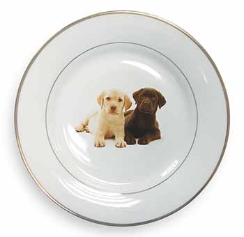 Labrador Puppy Dogs Gold Rim Plate Printed Full Colour in Gift Box