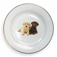 Labrador Puppy Dogs Gold Rim Plate Printed Full Colour in Gift Box