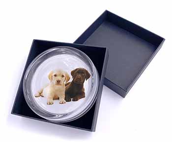 Labrador Puppy Dogs Glass Paperweight in Gift Box