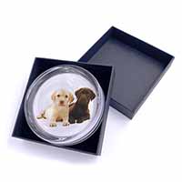 Labrador Puppy Dogs Glass Paperweight in Gift Box