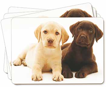 Labrador Puppy Dogs Picture Placemats in Gift Box