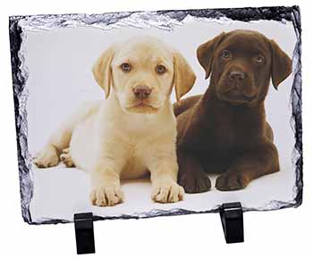 Labrador Puppy Dogs, Stunning Photo Slate