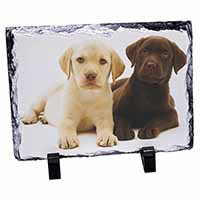 Labrador Puppy Dogs, Stunning Photo Slate