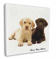 Labrador Puppy Dogs 